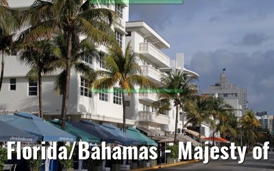 Florida/Bahamas - Majesty of the Seas - February 2012