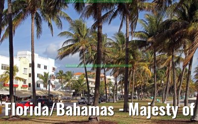 Florida/Bahamas - Majesty of the Seas - February 2012