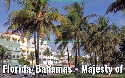 Florida/Bahamas - Majesty of the Seas - February 2012