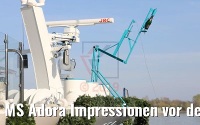 MS Adora Impressionen vor der Taufe 30.03.2019 Wien