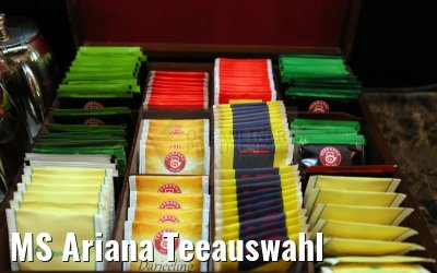 MS Ariana Teeauswahl