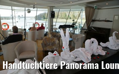 Handtuchtiere Panorama Lounge MS Ariana 03.04.2015