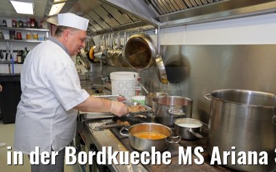 in der Bordkueche MS Ariana 31.03.2015