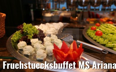 Fruehstuecksbuffet MS Ariana 30.03.2015