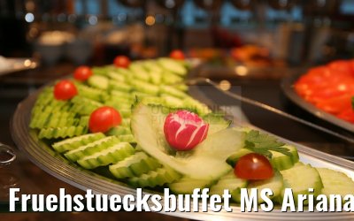 Fruehstuecksbuffet MS Ariana 30.03.2015