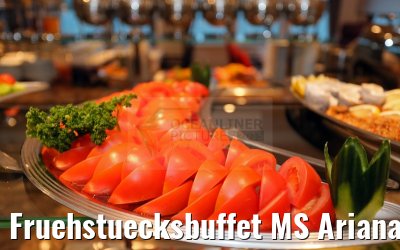 Fruehstuecksbuffet MS Ariana 30.03.2015
