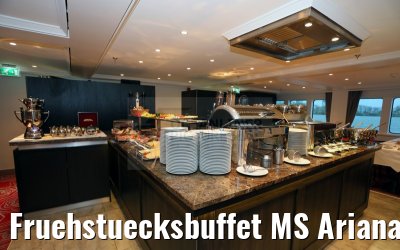 Fruehstuecksbuffet MS Ariana 30.03.2015