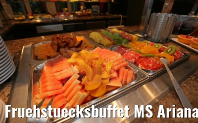 Fruehstuecksbuffet MS Ariana 30.03.2015