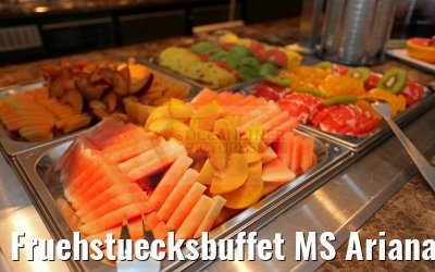 Fruehstuecksbuffet MS Ariana 30.03.2015