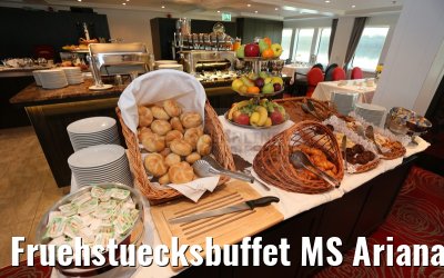 Fruehstuecksbuffet MS Ariana 31.03.2015
