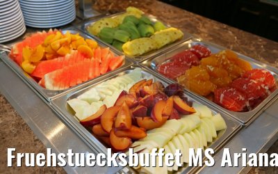 Fruehstuecksbuffet MS Ariana 31.03.2015