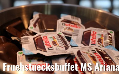 Fruehstuecksbuffet MS Ariana 31.03.2015