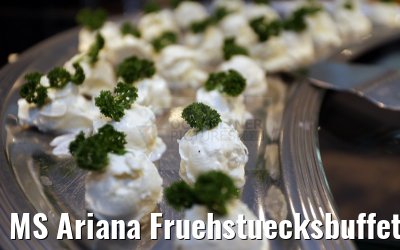MS Ariana Fruehstuecksbuffet 31.03.2015