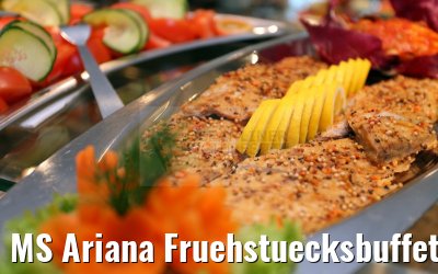 MS Ariana Fruehstuecksbuffet 31.03.2015