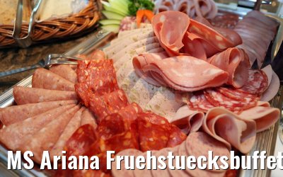 MS Ariana Fruehstuecksbuffet 31.03.2015