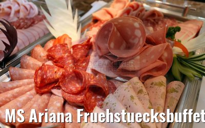 MS Ariana Fruehstuecksbuffet 31.03.2015