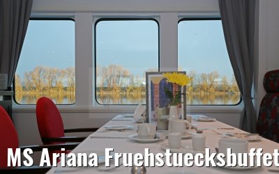 MS Ariana Fruehstuecksbuffet 31.03.2015