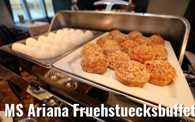 MS Ariana Fruehstuecksbuffet 31.03.2015