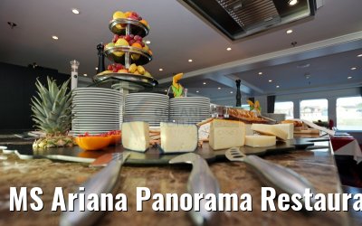 MS Ariana Panorama Restaurant Kaeseplatte 03.04.2015