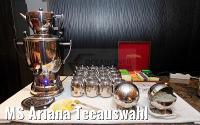 MS Ariana Teeauswahl