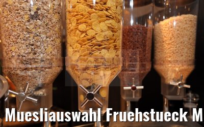 Muesliauswahl Fruehstueck MS Ariana 30.03.2015