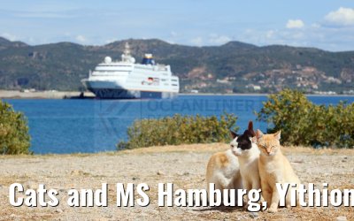 Cats and MS Hamburg, Yithion, Greece 27.04.2024
