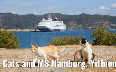 Cats and MS Hamburg, Yithion, Greece 27.04.2024