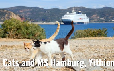 Cats and MS Hamburg, Yithion, Greece 27.04.2024
