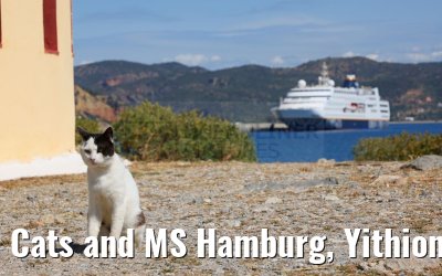 Cats and MS Hamburg, Yithion, Greece 27.04.2024