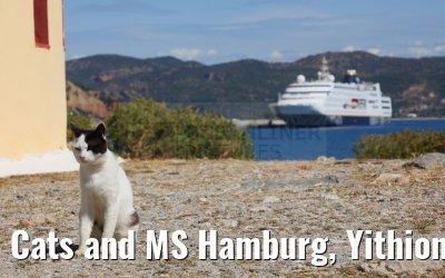 Cats and MS Hamburg, Yithion, Greece 27.04.2024