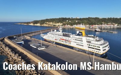 Coaches Katakolon MS Hamburg 28.04.2024