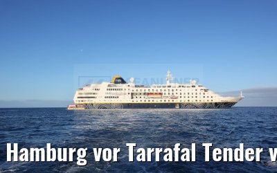 Hamburg vor Tarrafal Tender view 16.02.2025