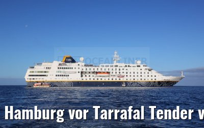 Hamburg vor Tarrafal Tender view 16.02.2025