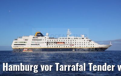 Hamburg vor Tarrafal Tender view 16.02.2025