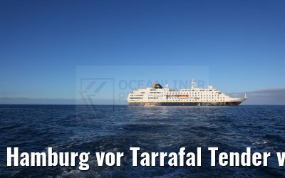 Hamburg vor Tarrafal Tender view 16.02.2025