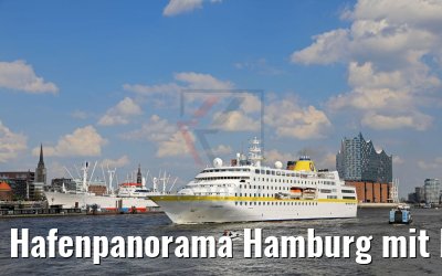Hafenpanorama Hamburg mit MS Hamburg 14.05.2017