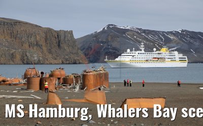 MS Hamburg, Whalers Bay scenery 07.01.2017