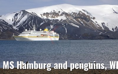MS Hamburg and penguins, Whalers Bay, Deception Island, Antarctica 07.01.2017