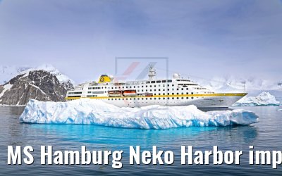 MS Hamburg Neko Harbor impressions Antarctica 08.01.2017