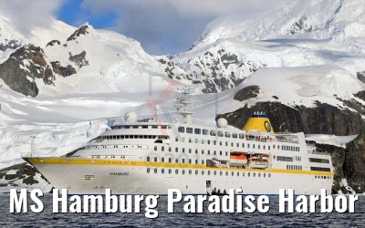 MS Hamburg Paradise Harbor near Almirante Brown Base, Antarktis 08.01.2017
