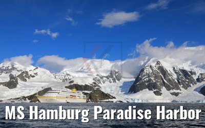 MS Hamburg Paradise Harbor near Almirante Brown Base, Antarktis 08.01.2017