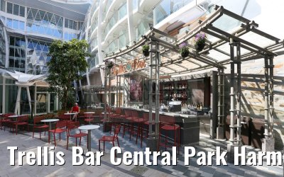 Trellis Bar Central Park Harmony of the Seas