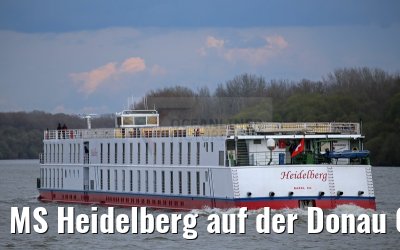 MS Heidelberg auf der Donau 01.04.2015
