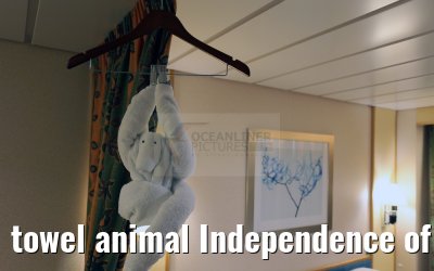 towel animal Independence of the Seas