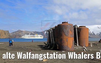 alte Walfangstation Whalers Bay, Deception Island und MS Hamburg 07.01.2017 alte Walfangstation Whalers Bay, Deception Island und MS Hamburg 07.01.2017