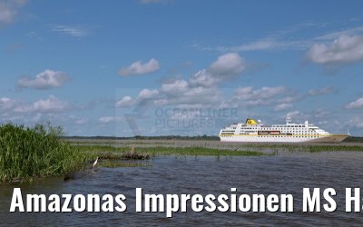 Amazonas Impressionen MS Hamburg 12.01.2015 Amazonas Impressionen MS Hamburg 12.01.2015