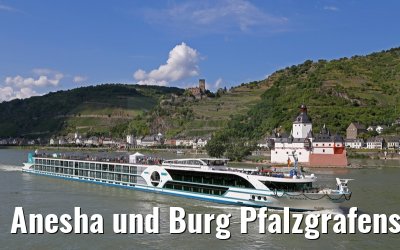 Anesha und Burg Pfalzgrafenstein am Rhein 27.06.2015 Anesha und Burg Pfalzgrafenstein am Rhein 27.06.2015