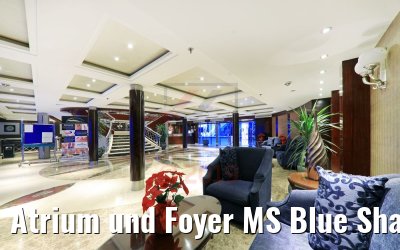 Atrium und Foyer MS Blue Shadow Atrium und Foyer MS Blue Shadow