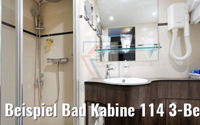Beispiel Bad Kabine 114 3-Bett Neptundeck aussen MS Ariana Beispiel Bad Kabine 114 3-Bett Neptundeck aussen MS Ariana