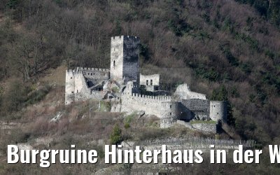 Burgruine Hinterhaus in der Wachau 03.04.2015 Burgruine Hinterhaus in der Wachau 03.04.2015